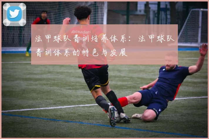 法甲球队青训培养体系：法甲球队青训体系的特色与发展