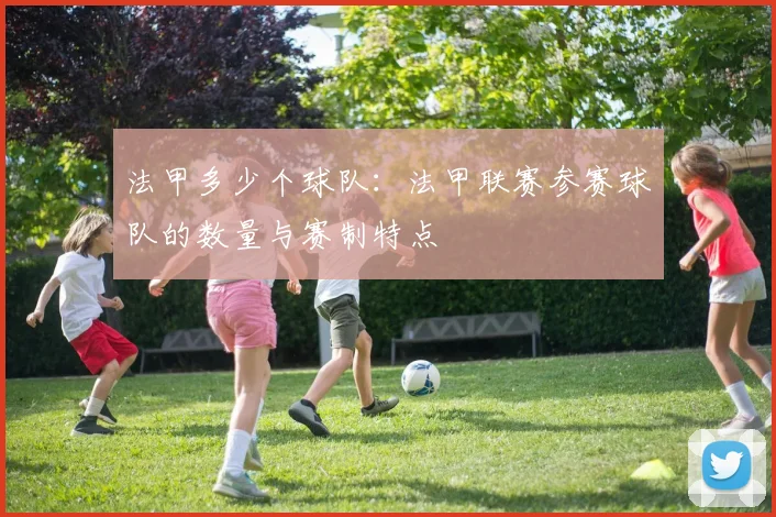 法甲多少个球队：法甲联赛参赛球队的数量与赛制特点