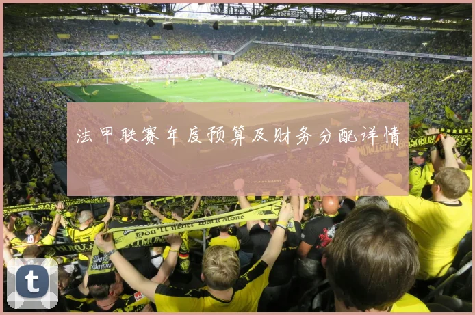 法甲联赛年度预算及财务分配详情