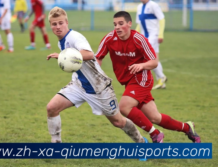 多媒体互动体验